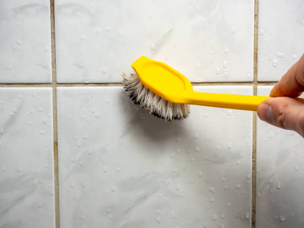 Best Mold Remediation Experts  in Jonesborough, TN